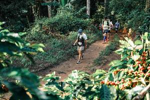 BIB: 
                            <button type="button" onclick="openModal(25841323)" class="btn btn-primary btn-sm float-right btn-popup" data-toggle="modal" data-target=".modal-high-quality">
                        <i class="fas fa-shopping-cart"></i> Add to Cart
                    </button>
                                            <button type="button" onclick="isThisMe(25841323, true)" class="btn btn-success btn-sm float-right btn-popup btn-isme hidden" data-toggle="tooltip" data-placement="bottom" title="นี่คือรูปของคุณใช่ไหม คลิกที่นี่เพื่อเอาเข้าอัลบั้ม">
                        <i class="fas fa-plus"></i> Add to album
                    </button>
                    <button type="button" onclick="isThisMe(25841323, false)" class="btn btn-warning btn-sm float-right btn-popup btn-isnotme hidden">
                        <i class="fas fa-ban"></i> Remove from album
                    </button>